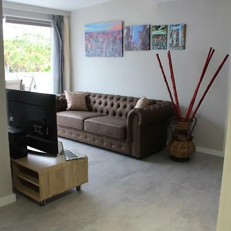 Apartament Palmeras Del Sur Costa Adeje (Tenerife)